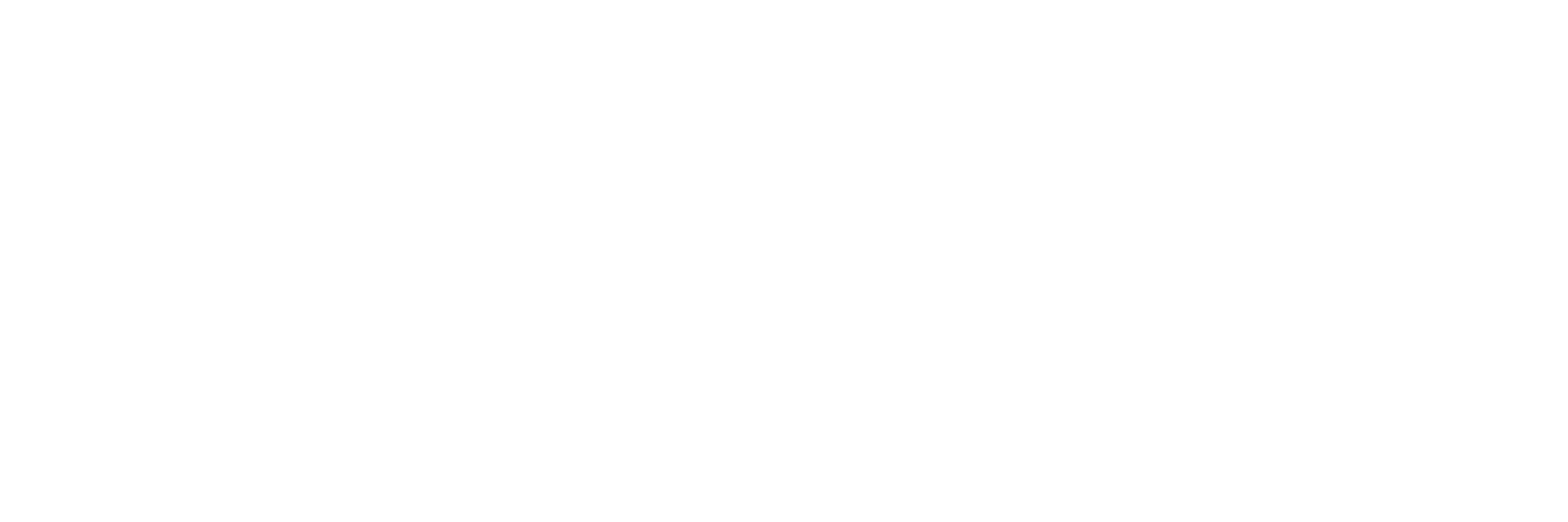 Zoho Authorized Partner